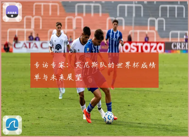 专访专家：突尼斯队的世界杯成绩单与未来展望