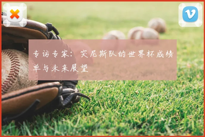专访专家：突尼斯队的世界杯成绩单与未来展望