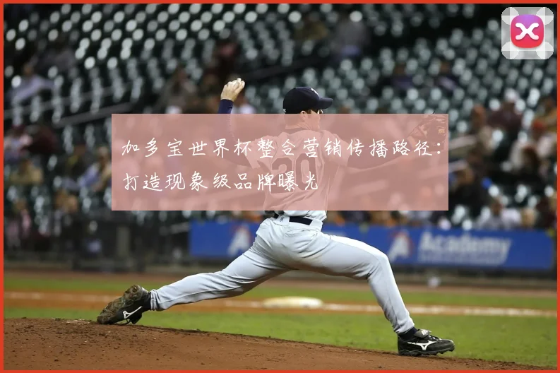 加多宝世界杯整合营销传播路径：打造现象级品牌曝光