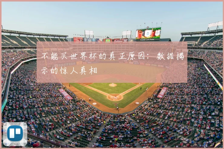 不能买世界杯的真正原因：数据揭示的惊人真相