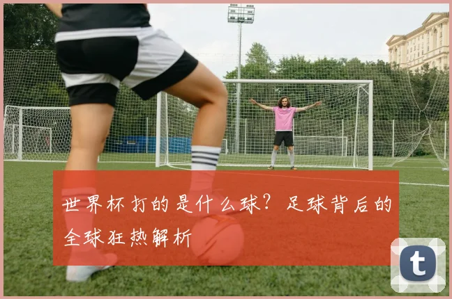 世界杯打的是什么球？足球背后的全球狂热解析