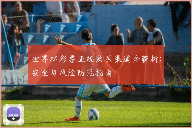 世界杯彩票正规购买渠道全解析：安全与风险防范指南