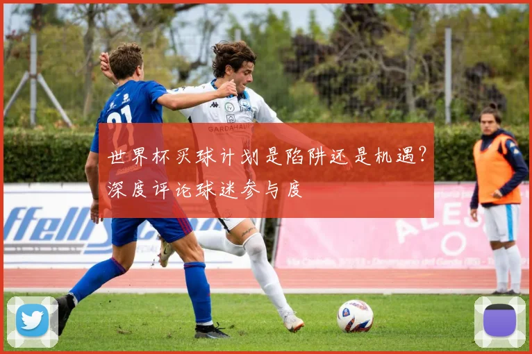 世界杯买球计划是陷阱还是机遇？深度评论球迷参与度